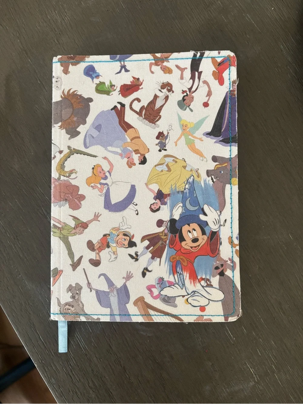 Disney Ink & Paint Notebook
